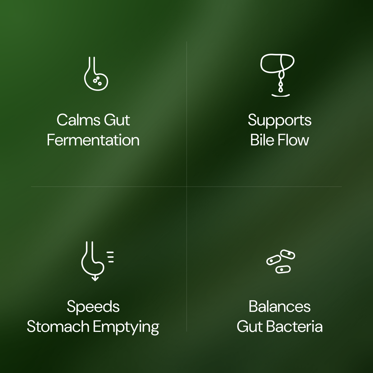 Dawtox - Help your gut and liver