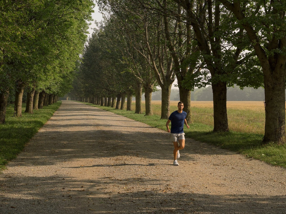 Running on a tree lined path in the morning Image