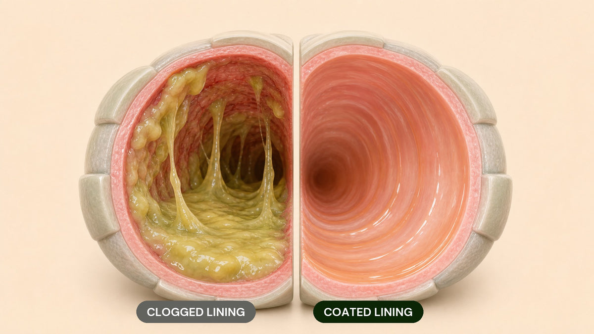 Dawtox For Your Lungs Image