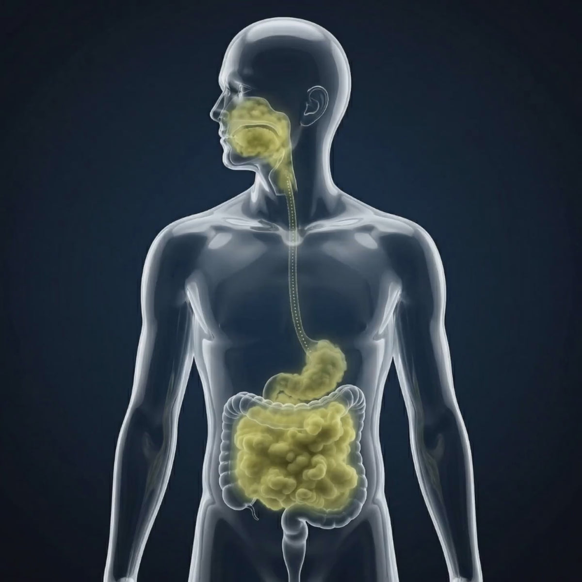 Dawtox drops under the tongue, golden glow down to the gut, fresh breath